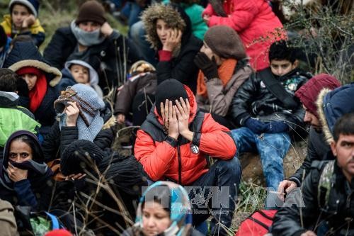 Refugees continue to flow into the Europe - ảnh 1